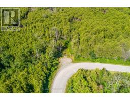 36 Spen Haven Road, Kawartha Lakes, ON K9V0K3 Photo 23