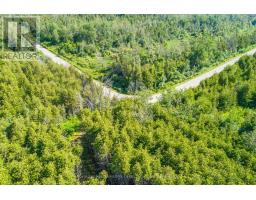 36 Spen Haven Road, Kawartha Lakes, ON K9V0K3 Photo 26