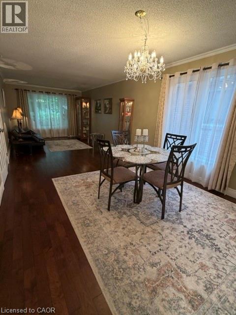 1029 DINA Crescent - 11