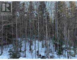 Emerald Drive, Emerald Estates, Whycocomagh Portage, NS B0E3M0 Photo 16