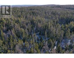 Emerald Drive, Emerald Estates, Whycocomagh Portage, NS B0E3M0 Photo 10