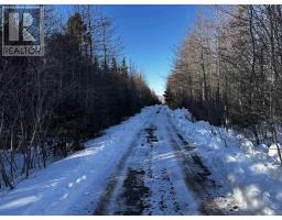 Emerald Drive, Emerald Estates, Whycocomagh Portage, NS B0E3M0 Photo 6
