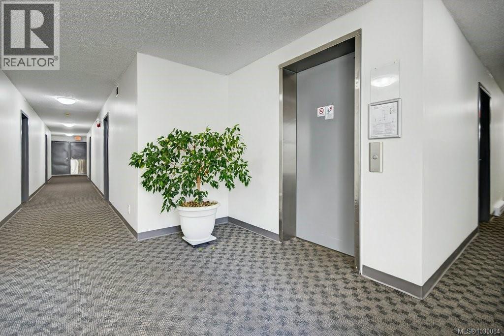#312 585 DOGWOOD St S - 36