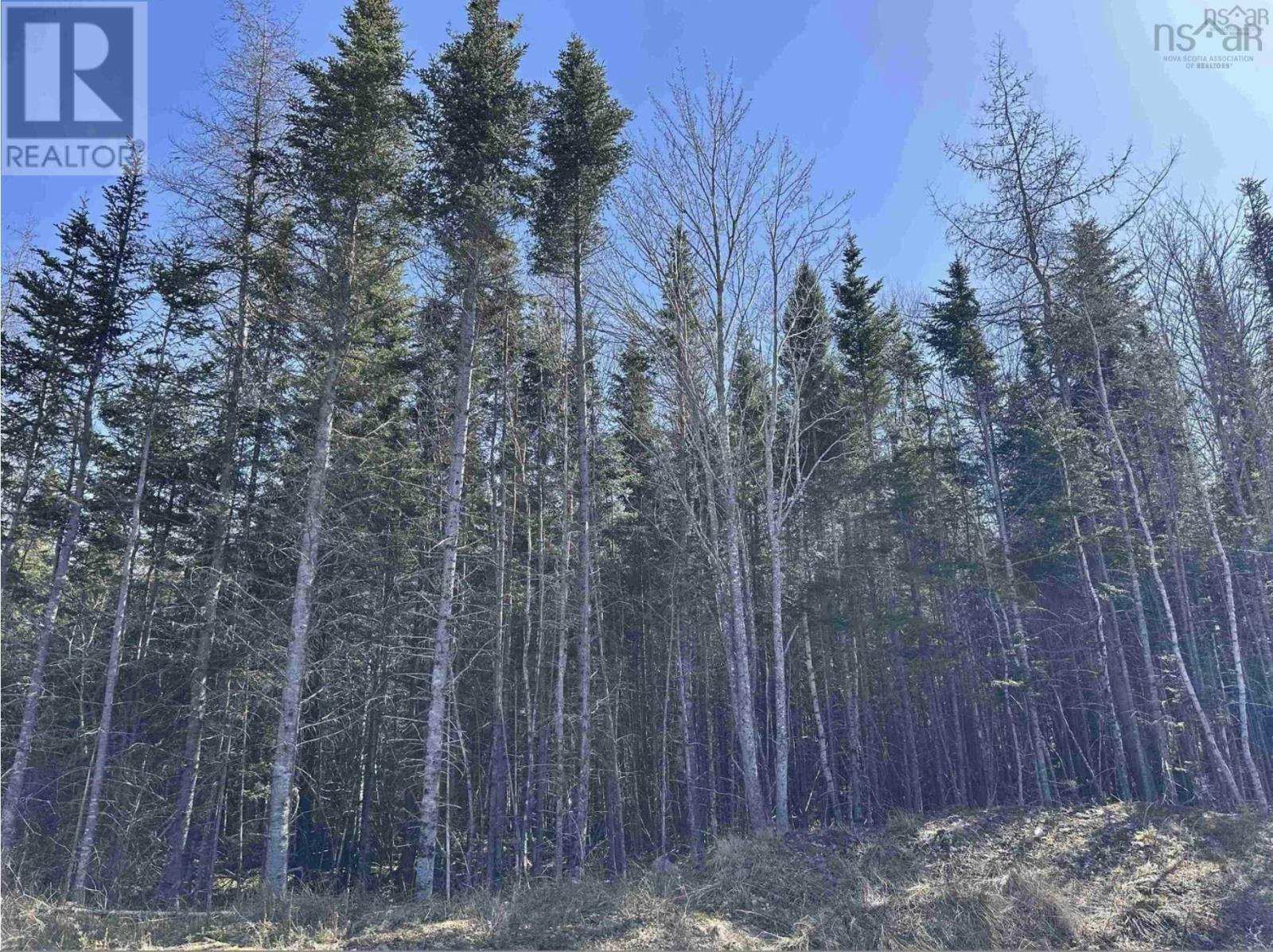 Property 12 of 23 of Lot 16 - Lower River Road