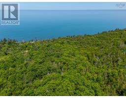 Lot Shore Roads W, Delaps Cove, NS B0S1A0 Photo 11