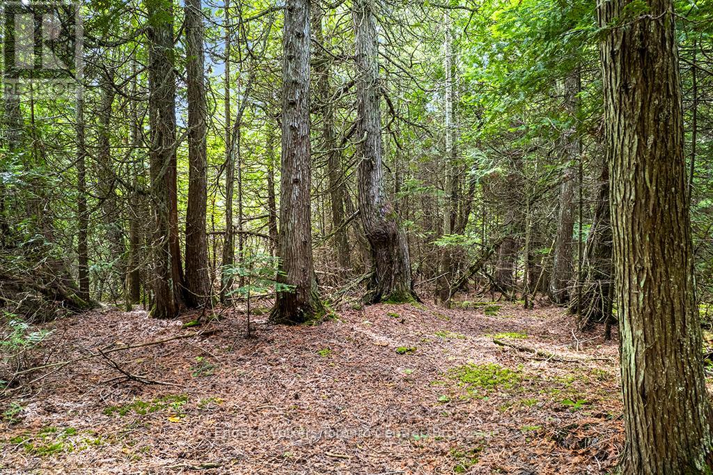 64 LARSEN COVE ROAD N - 45