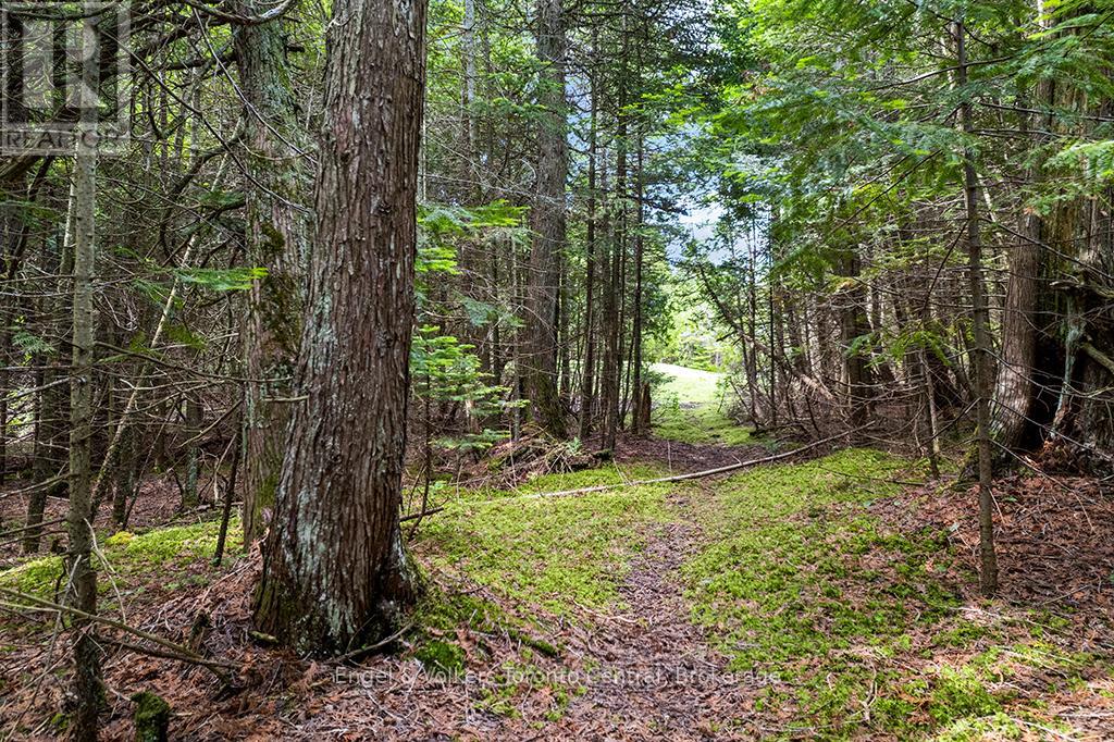 64 LARSEN COVE ROAD N - 46