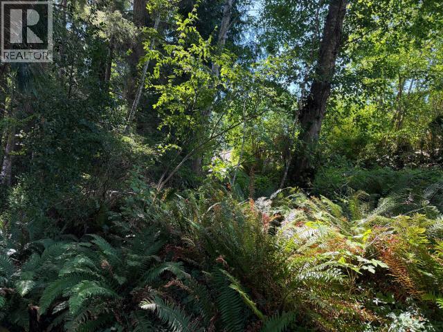 Lot 16 DOVER STREET, Powell River — photo 3