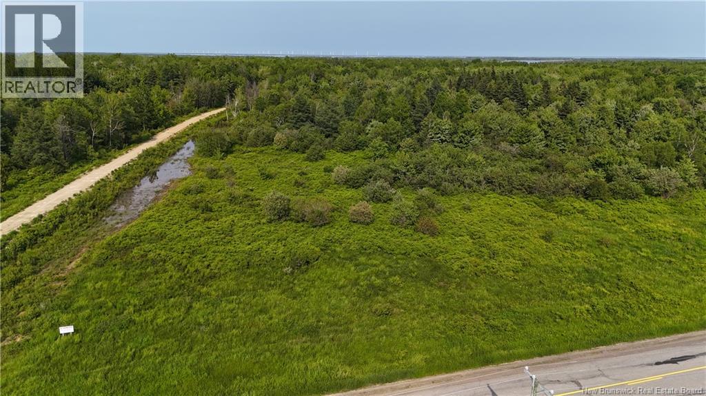 39.27 acres rue Morais, Bas-Caraquet — photo 2