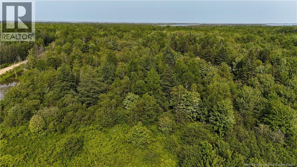 39.27 acres rue Morais, Bas-Caraquet — photo 3