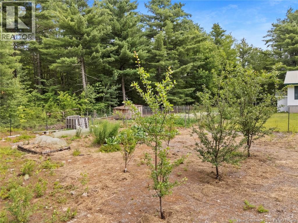 3422 Route 101 - Image 40