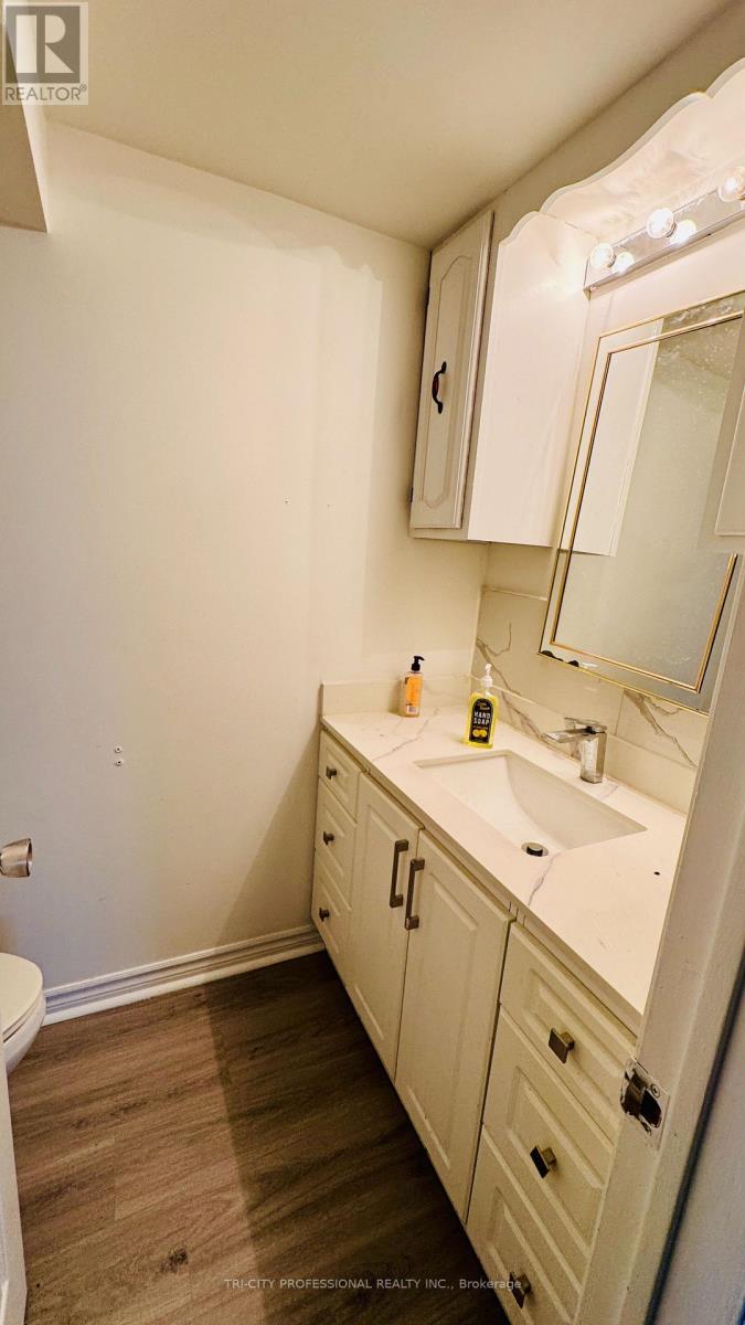 3337 HOMARK DRIVE - 18