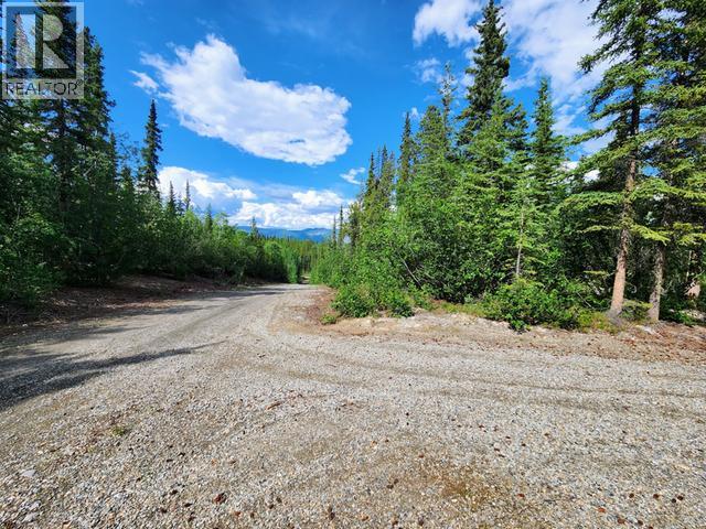 Lot 28 TINTINA SUBDIVISION - 30