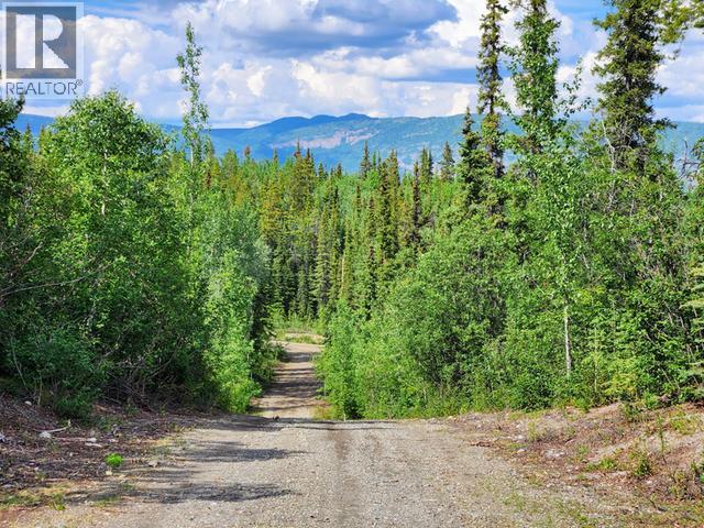 Lot 28 TINTINA SUBDIVISION - 31