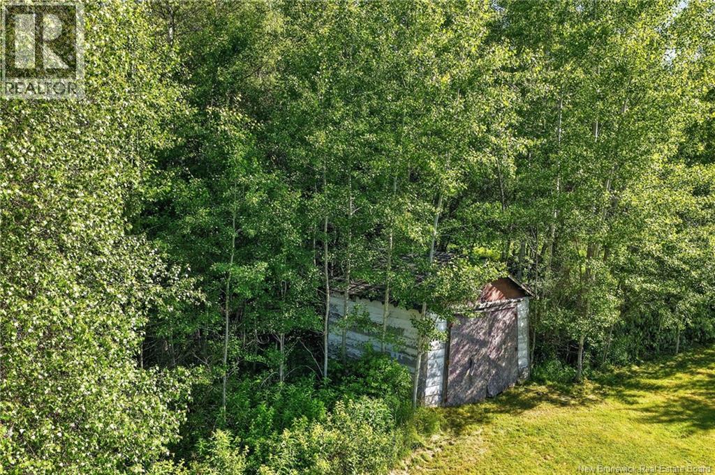 19 Beckwith Road - 36