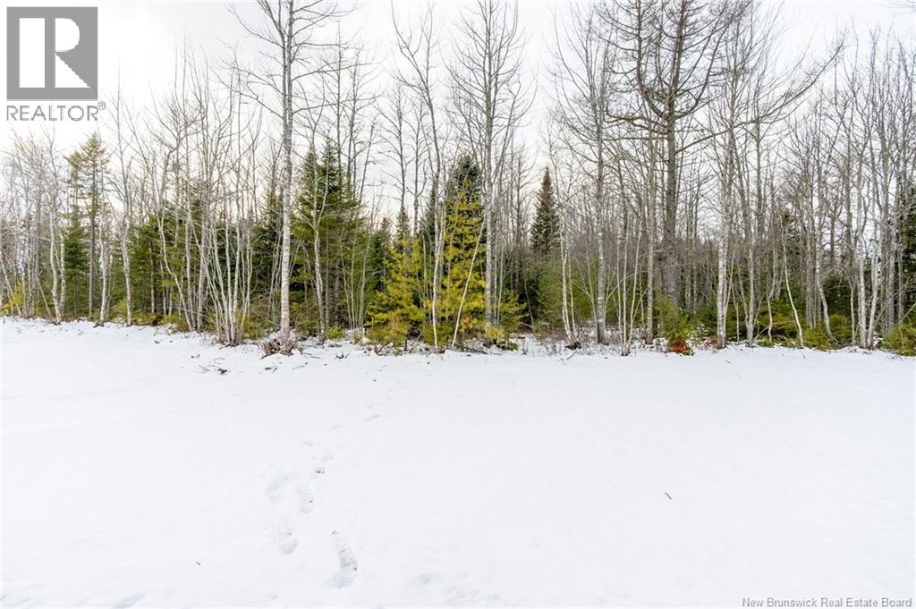 19 Shoreway Street - 36