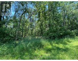 358 Townline Road, Greater Napanee, ON K0H1G0 Photo 6