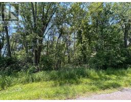 358 Townline Road, Greater Napanee, ON K0H1G0 Photo 7
