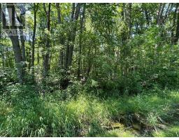 358 Townline Road, Greater Napanee, ON K0H1G0 Photo 8