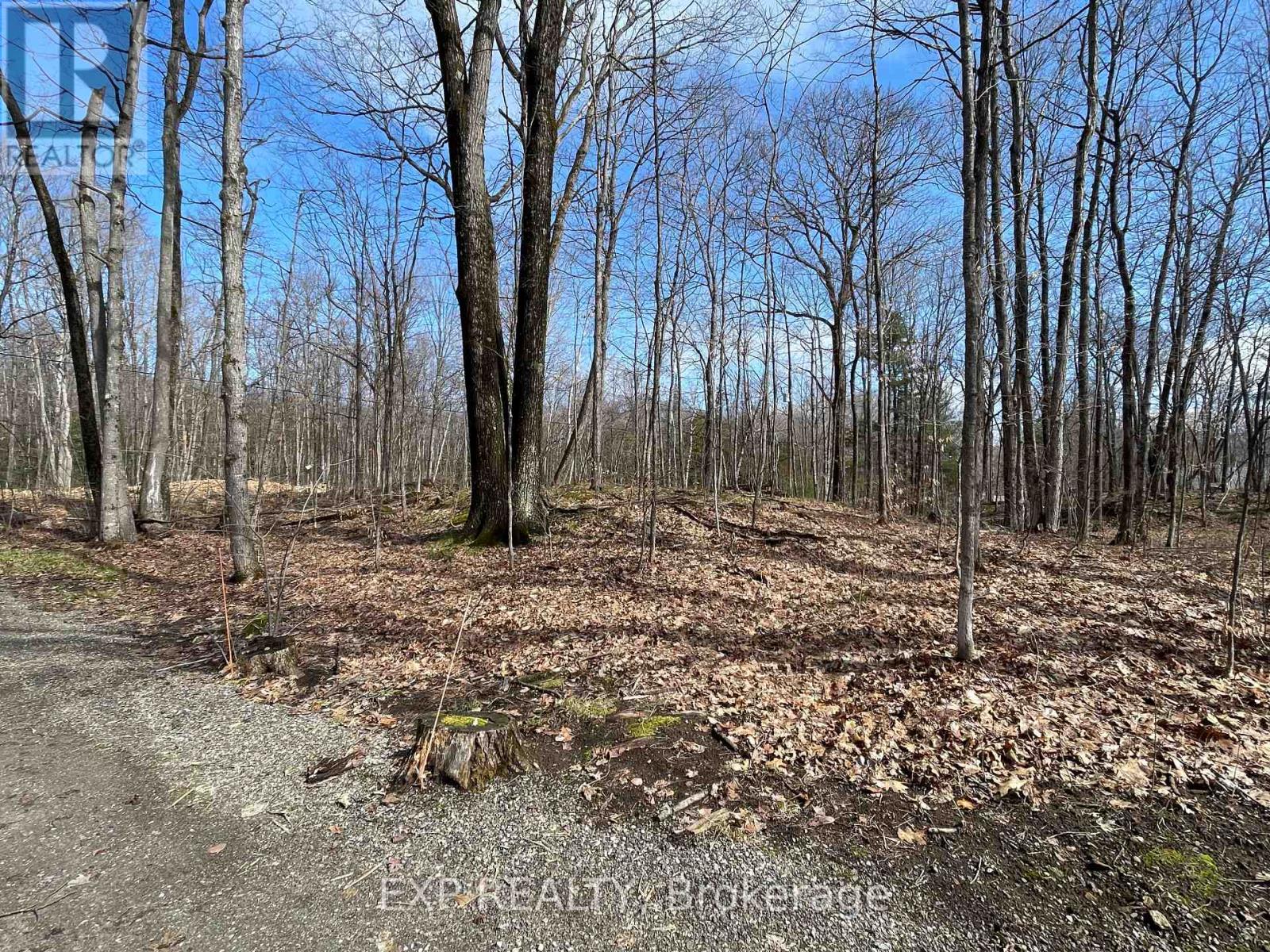 20 CRESTVIEW DRIVE - 36