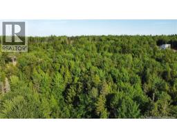 Lot 21-44 Orchard Avenue, Irishtown, NB E1H0J5 Photo 11