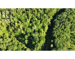 Lot 21-44 Orchard Avenue, Irishtown, NB E1H0J5 Photo 8