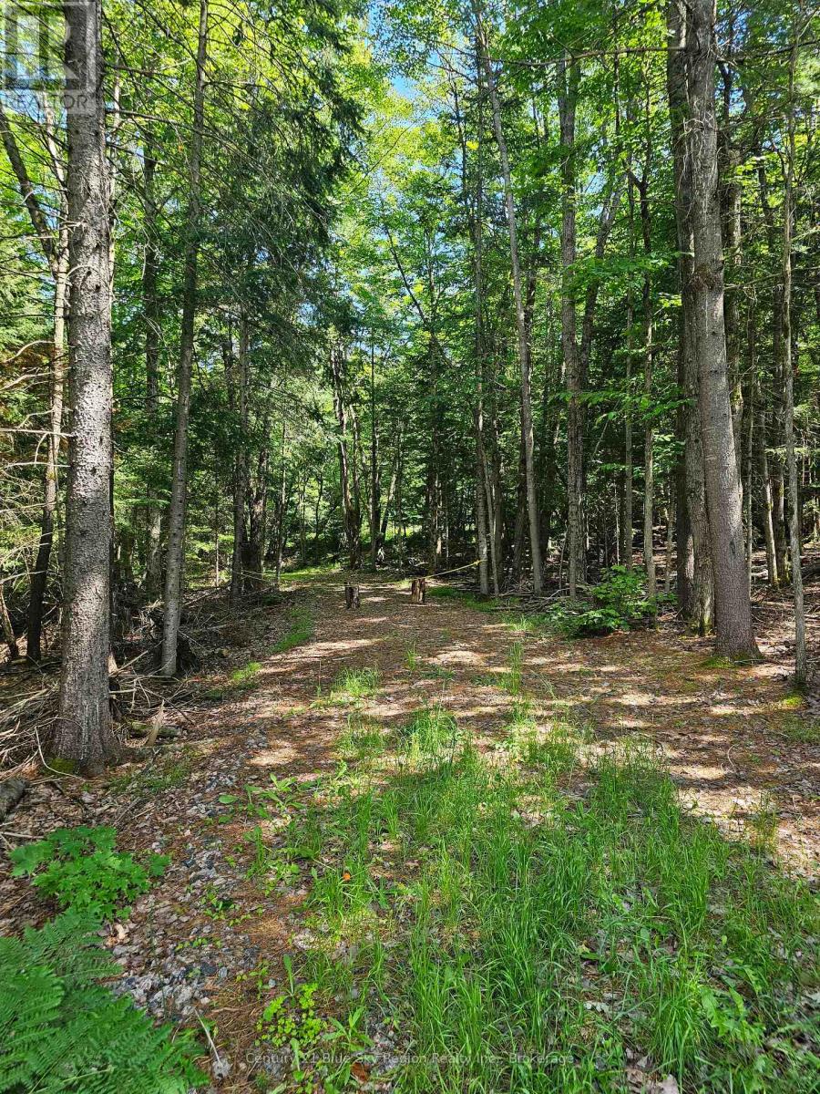 4369 HIGHWAY 534, Nipissing — photo 3