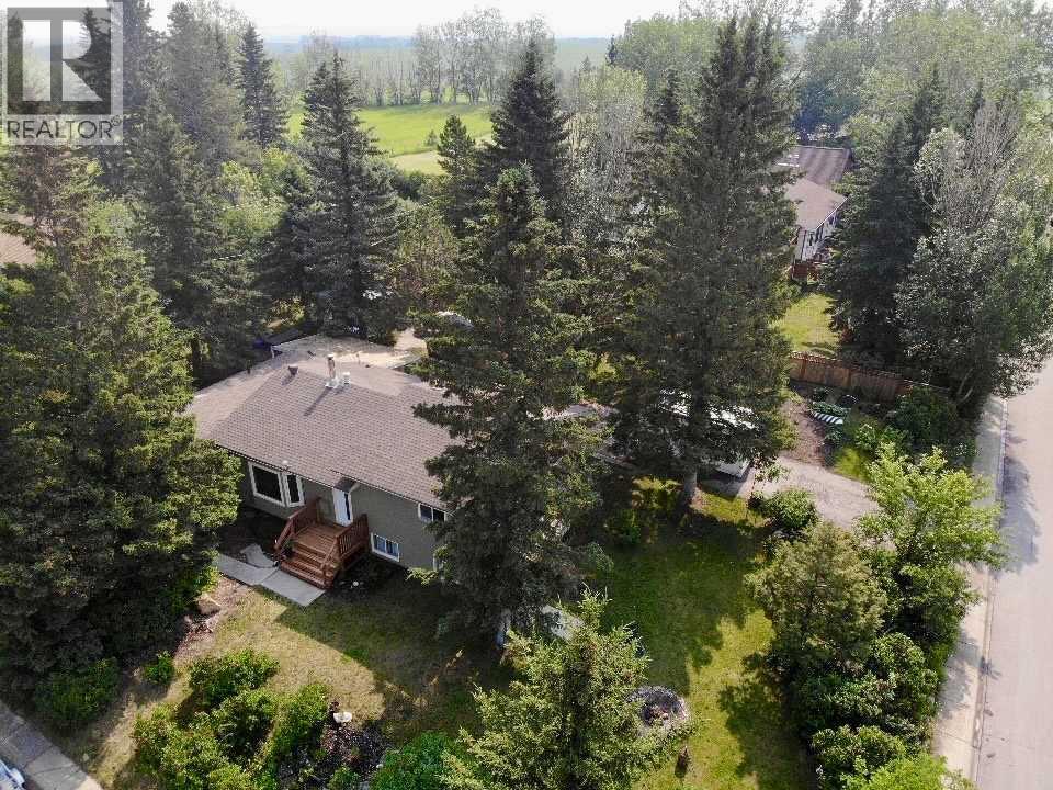 402 Boake Avenue — photo 47