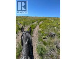 4205 Kristianson Road, Monte Lake, BC V0E2N0 Photo 13