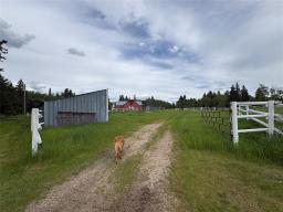 179001 Road 167.5 W Road W, Boggy Creek, MB R0L0G0 Photo 34