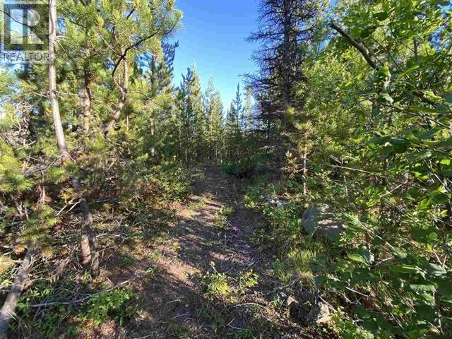 LOT 11 EVERGREEN DRIVE, Lone Butte