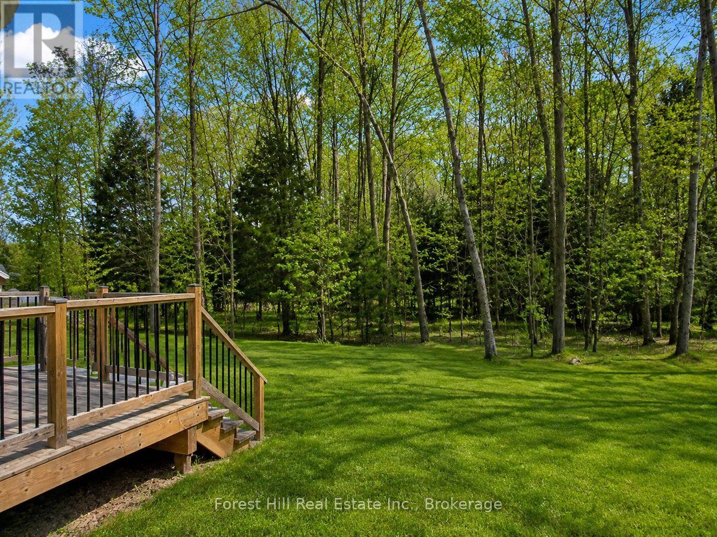 634341 ARTEMESIA GLENELG TOWNLINE - 14
