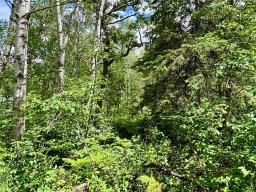 10 Hank's Cove, Victoria Beach, MB R0E2C0 Photo 13