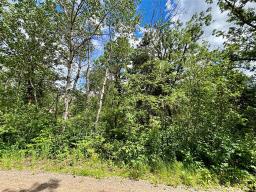 10 Hank's Cove, Victoria Beach, MB R0E2C0 Photo 14