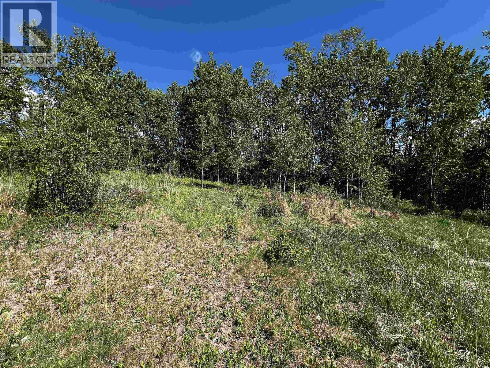 8349 NITHI ROAD, Fraser Lake