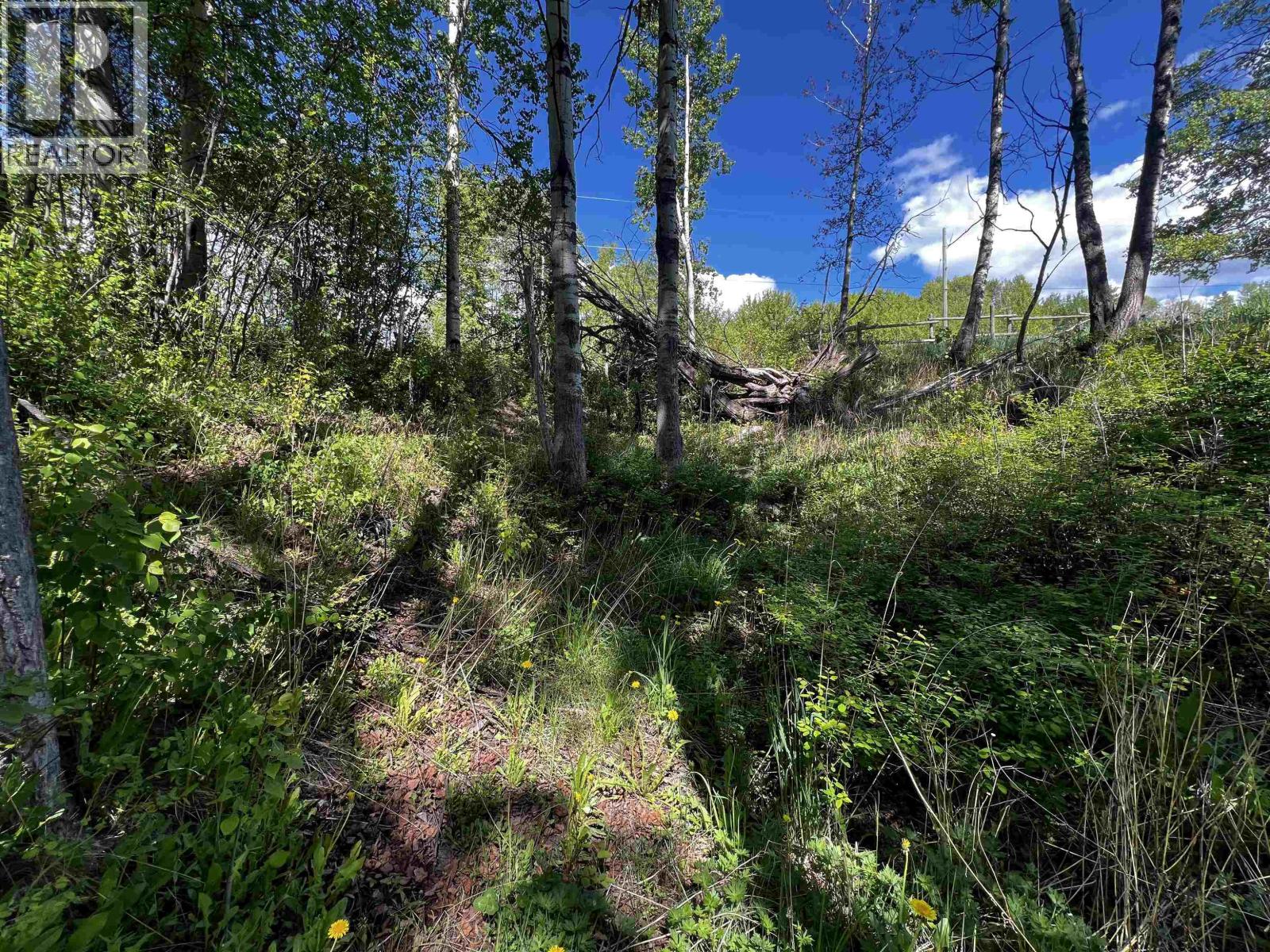 8349 NITHI ROAD, Fraser Lake