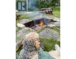 42 West Ham Lake Road, Killarney, ON P0M1A0 Photo 19