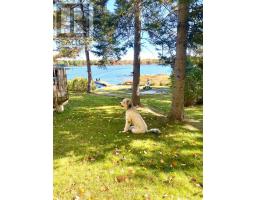 42 West Ham Lake Road, Killarney, ON P0M1A0 Photo 16