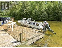 231 Flewelling Road, Grey Highlands, ON N0C1E0 Photo 19