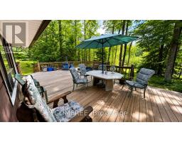 231 Flewelling Road, Grey Highlands, ON N0C1E0 Photo 14