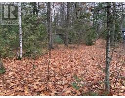 46 Oakwood Avenue N, Tiny, ON L9M0J2 Photo 6