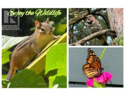 55 Thompson Avenue, Native Leased Lands, ON N0H2G0 Photo 46