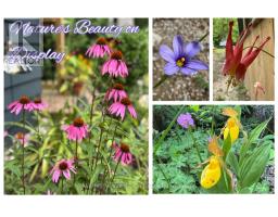 55 Thompson Avenue, Native Leased Lands, ON N0H2G0 Photo 44