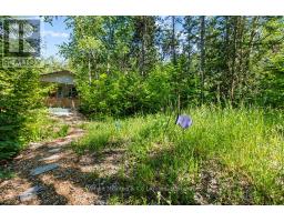 55 Thompson Avenue, Native Leased Lands, ON N0H2G0 Photo 32