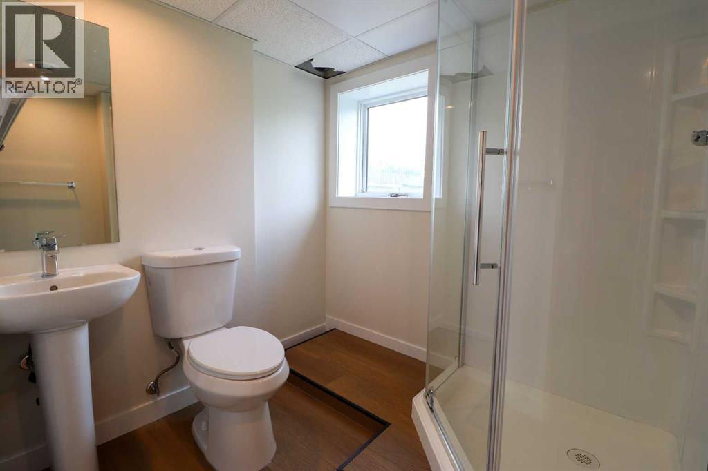 Basement Bathroom