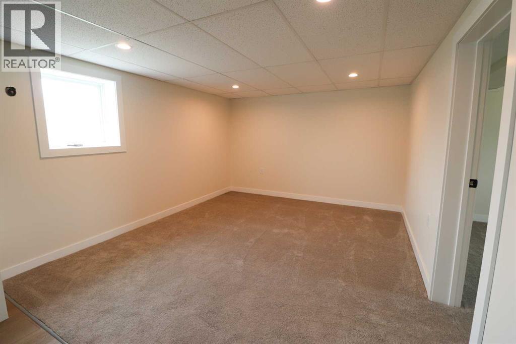 Basement Living Room