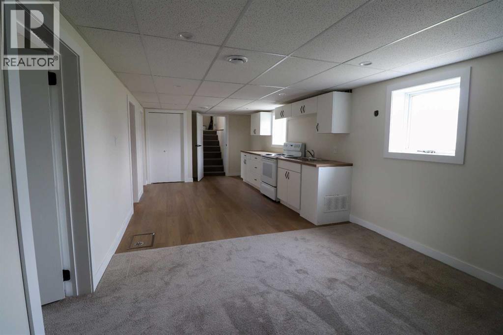 Basement Kitchen/Living Room