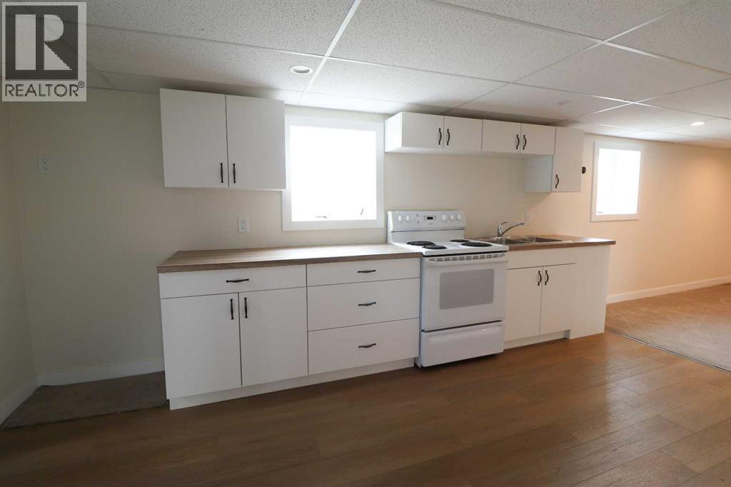 Basement Kitchen