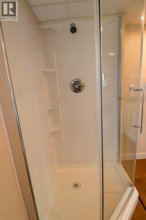 Basement Bathroom