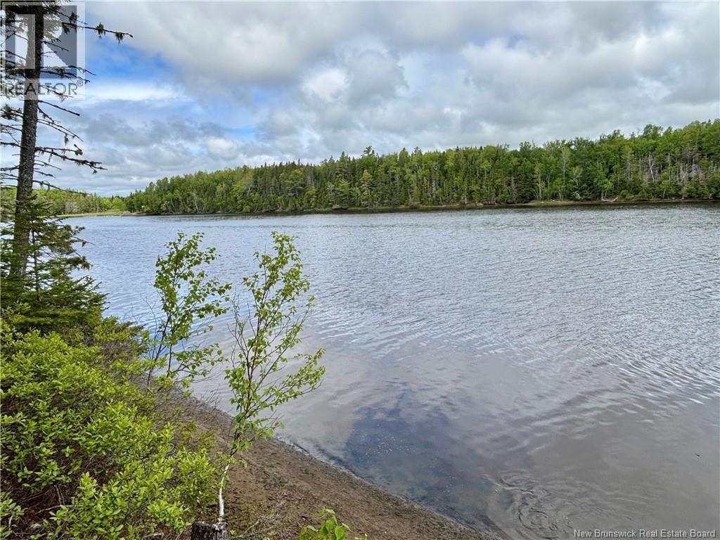 262 Straightbrook Road - 9